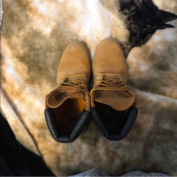 Timberlands - Picture 3 of 8